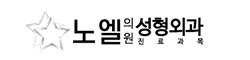 노엘의원